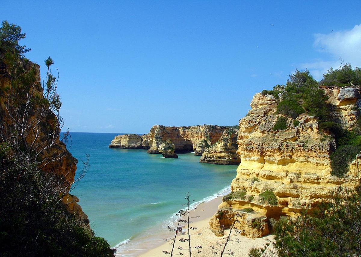 Casa Ouricos Large Pool Bbq Walk To Beach Carvoeiro  Ngoại thất bức ảnh